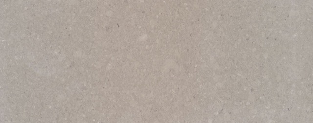 Shitake