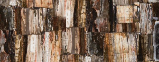 Petrified Wood-Classic