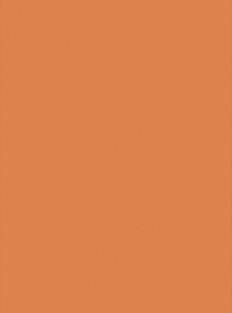 Citrus Orange