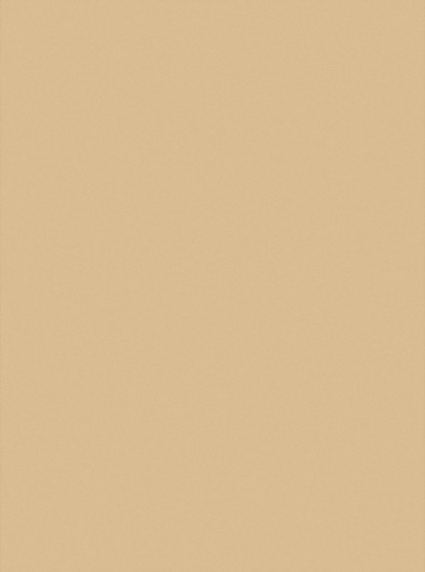 Absolute Beige