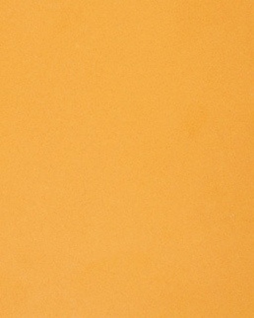 Amarillo Dream