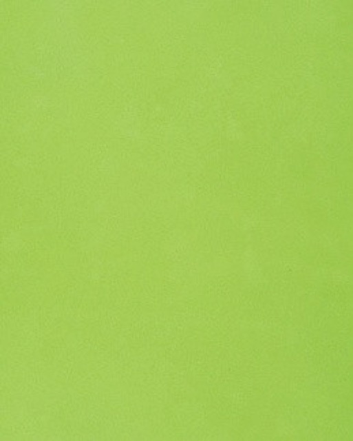 Verde Fun