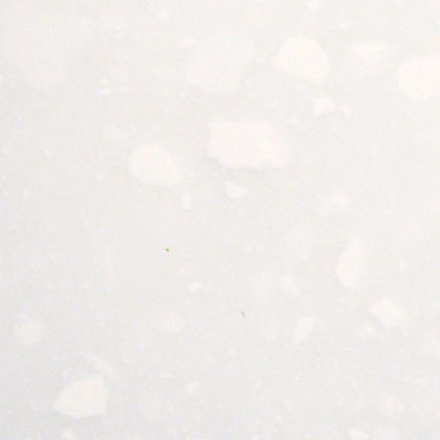 Frost