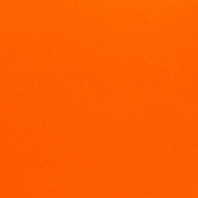 California Poppy